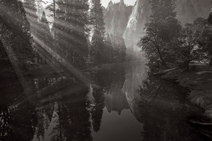 Yosemite Awakens