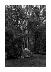 Human Nature- Namadgi - Australia #14
