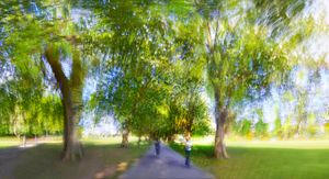 Jesus Green tree-lined walkway