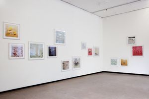 Installation view of the series horror vacui