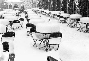 Snow on Tables