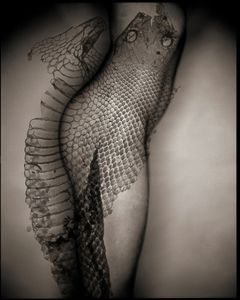 Shedding our Past