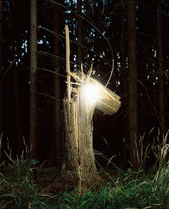 The Horse
