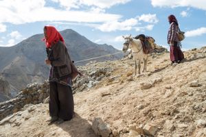 Some travel by foot through the mountains, pulling their horses along on steep passages. Upper Dolpo, Nepal, June 2017.