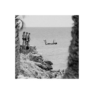 Palm, Sea, Land