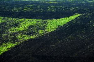 Terra Galicia