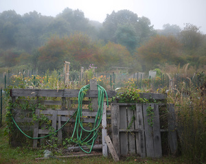 Hose