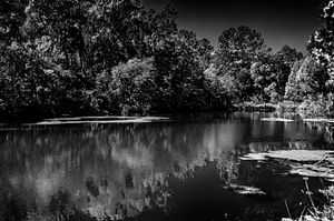 Lost Pond
