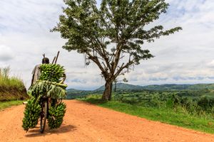 Bunyangabu, Uganda