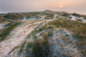Dunelands IV