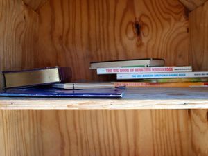 “Ex Libris: What Madison is (and is not) reading,” 2015