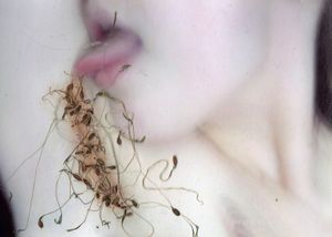 Ecosex in The Other Way Around