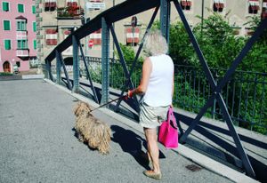 Dreads, Brixen, Italy 2015