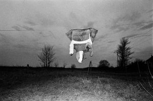 Untitled 11, from the series "Swell" © Mateusz Sarello
