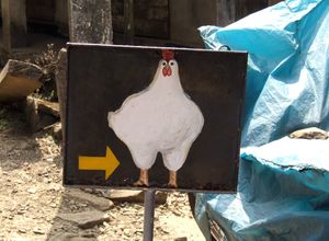 Arrow/chicken, between Thekkady and Kochi, Kerala, 2010.