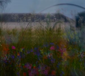 The scent of sky and earth