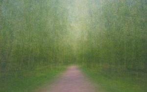 Path 11, 2011