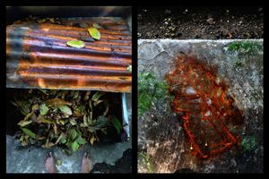 strong and rusted © Indra Widi