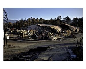 Portraits of a fire / Retratos de un incendio