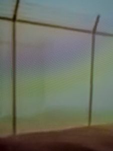Fence