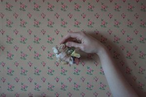flowers trap© Cristina Coral