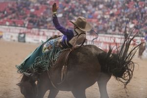 bareback bronc