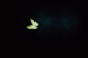 © Fabio Moscatelli