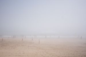 Fog 2