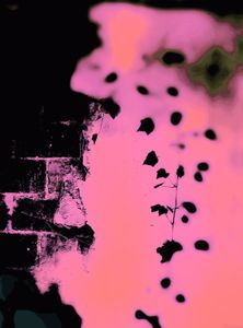 Metamorphosis 8