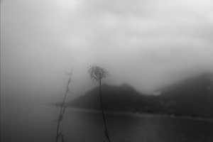 DREAMING