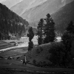 Suspended Moments-  Stillness II
