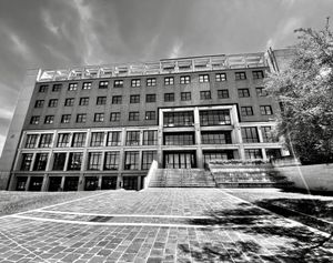 The University of Medicine of Ancona