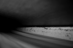 Hide 2 © Anastasia Davis