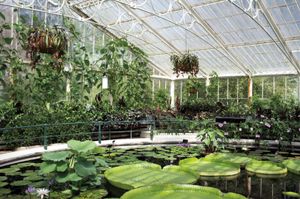 Waterlily House, Kew Royal Botanic Gardens, Richmond, Surrey, U.K. 2012 © Mireille Schellhorn