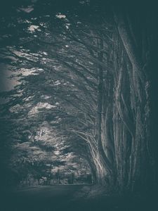 Old Grove Road (Series - 1 of 3)