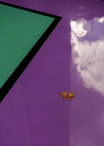 clouds and leaf