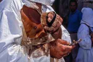 "Battenti" Guardia Sanframondi Italy The seven-year rites of penance August 27, 2017