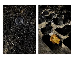 Portraits of a fire / Retratos de un incendio