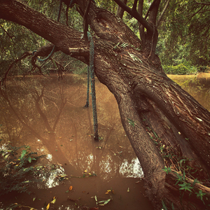Into the marsh - 06