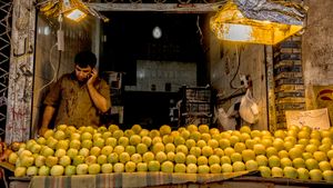 Apple sales