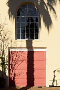 Garden Hose Near the Palm Tree Shadow