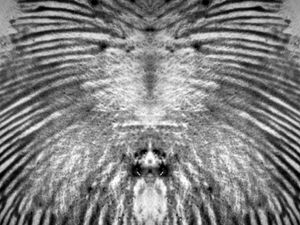 petruckevitch_ann_25