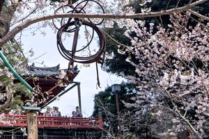 Moon, Ueno Park, Tokyo