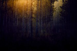 Deep Inside III #3