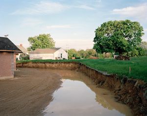 Backyard Construction, 2009