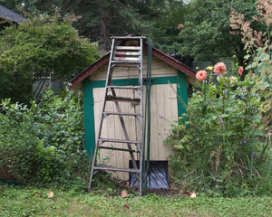 Jay's Garden Shed, Toronto Islands
