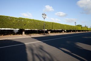 Palace road, Rabat