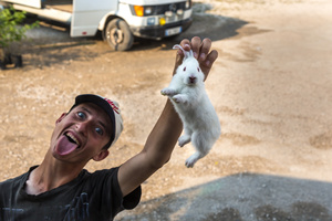 Street Fauna 2 - Rabbit