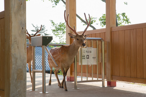 Exit