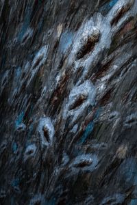 Scratching 4